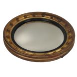 A George IV period giltwood circular Convex Mirror, the moulded frame with ebonised reeded trim