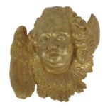 An antique Baroque style carved giltwood winged cherub Bust, approx. 35cms high x 38cms wide (14"