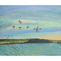 Robert Jobson, Irish 20th Century "Mallards, Sea Bank" (Studio No. 3) O.O.C., approx. 51cms x