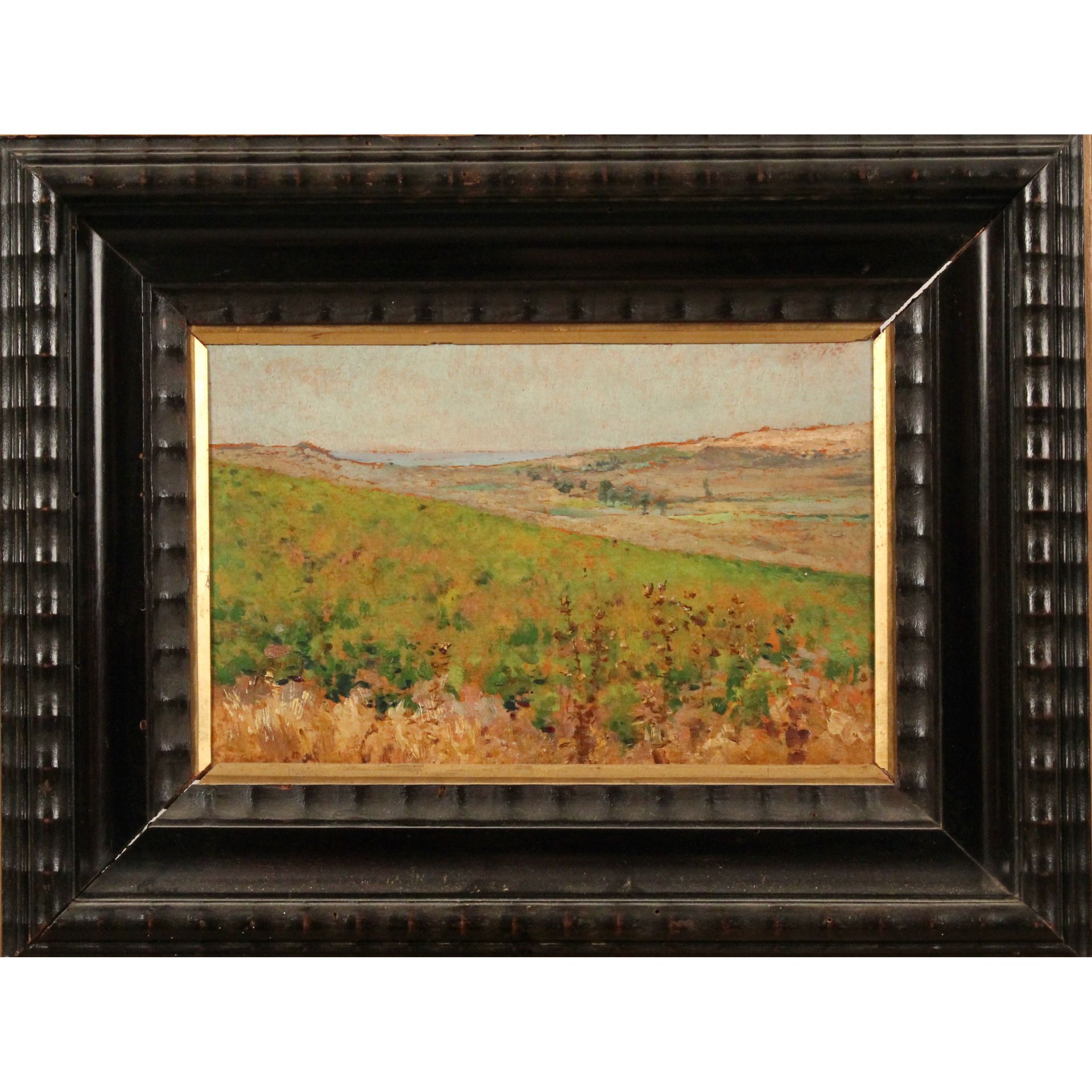 Gennaro Pardo (1865/1927) "Campagna siciliana" - "Sicilian countryside"