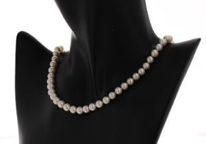 Good cultured pearl necklace with a 14ct yellow gold clasp, the pearls of nice lustre 7mm approx,