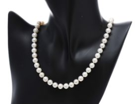 Modern white cultured pearl strung necklace with 9ct yellow gold ball clasp, the pearls 8mm, 37.2gm,