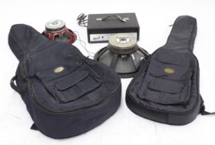 McKenzie 15" speaker, a McKenzie 12" speaker, a Linear RSC amplifier head, and two gig bags *