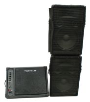 Pair of passive PA monitor speakers; together with a Torque TM100P powered stage monitor *Please