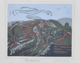 After David Woolfenden (20th/21st century) - "Earthworks", signed artist proof also inscribed with