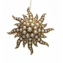 Attractive 14ct yellow gold seed pearl star cluster brooch, with safety chain, 10.6gm, 34mm
