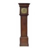 Early oak thirty hour longcase clock with birdcage movement, the 10.5" square brass dial signed