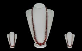Early 20th Century Superb Quality Cherry Amber Graduated Beaded Necklace, of excellent colour. Circa
