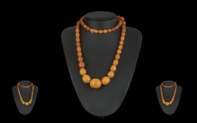 A Fine Quality 1920's Butterscotch Amber Graduated Beaded Necklace of Excellent Rich Colour.