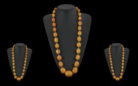 Early 20th Century Excellent Butterscotch Graduated Amber Beaded Necklace with Gold Wire Between