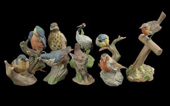 Wedgwood Porcelain Bird Figures (9) in total. To include male chaffinch, robin, kingfisher, blue tit