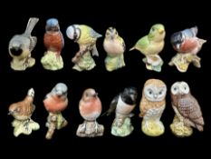 Collection of Beswick Bird Figures, including Stonechat, Barn Owl, Bullfinch, Robin, Tawny Owl,