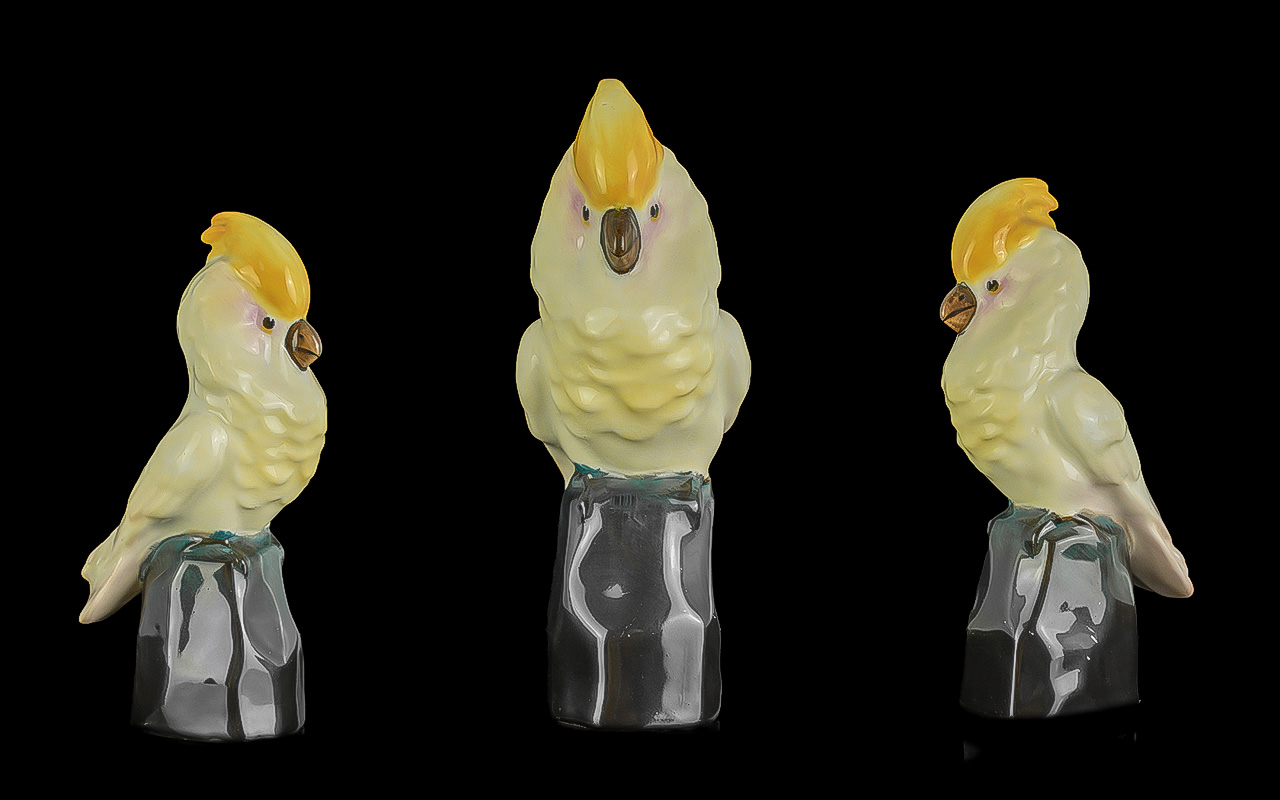 Royal Doulton - Early 1920's Hand Painted Bird Figure ' Cockatoo On a Black Rock ' HN185. Artist