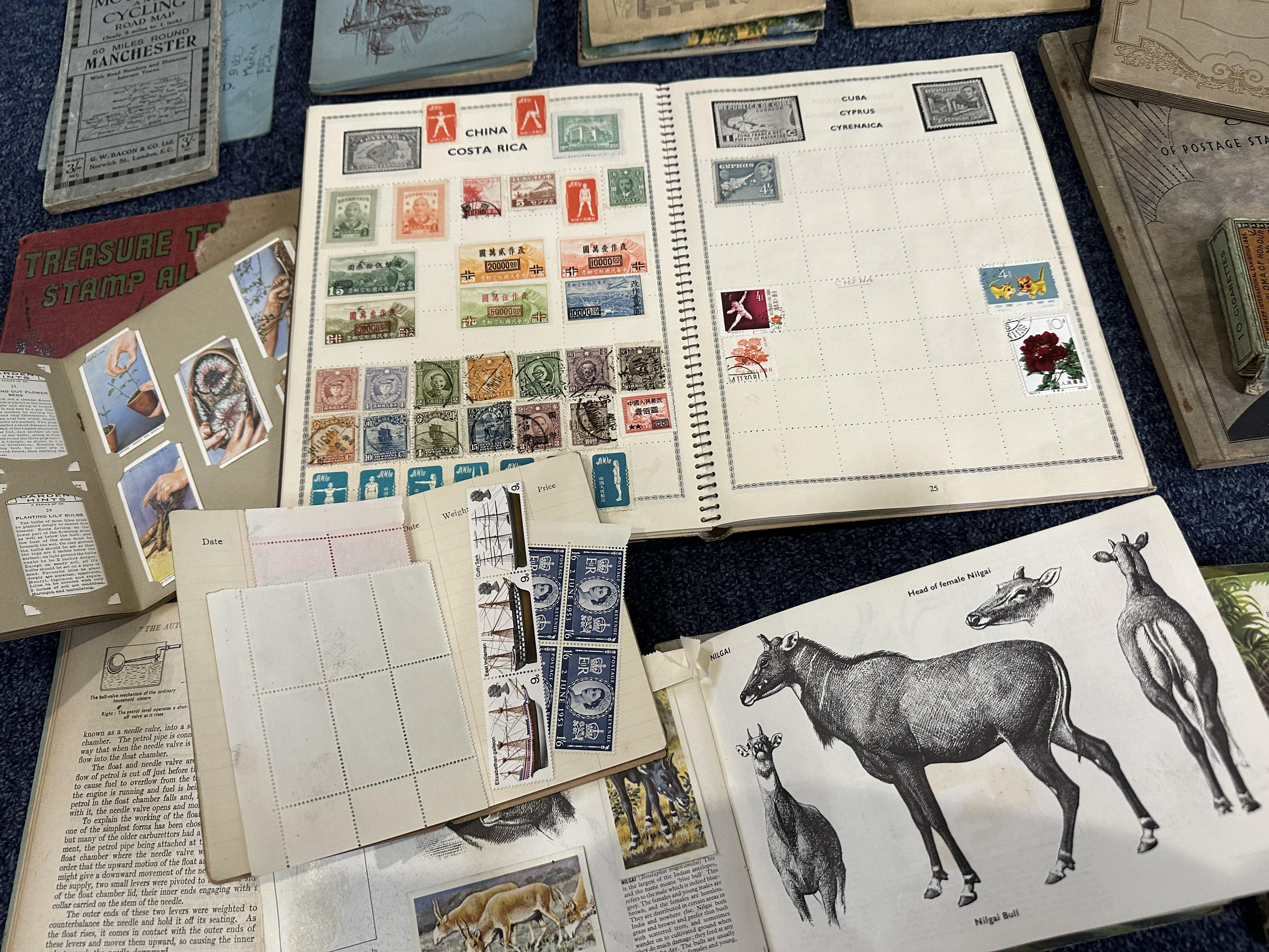 Collection of Stamps to include the Wanderer Album and Bounty Stamp Album, low value stamps, - Image 2 of 2