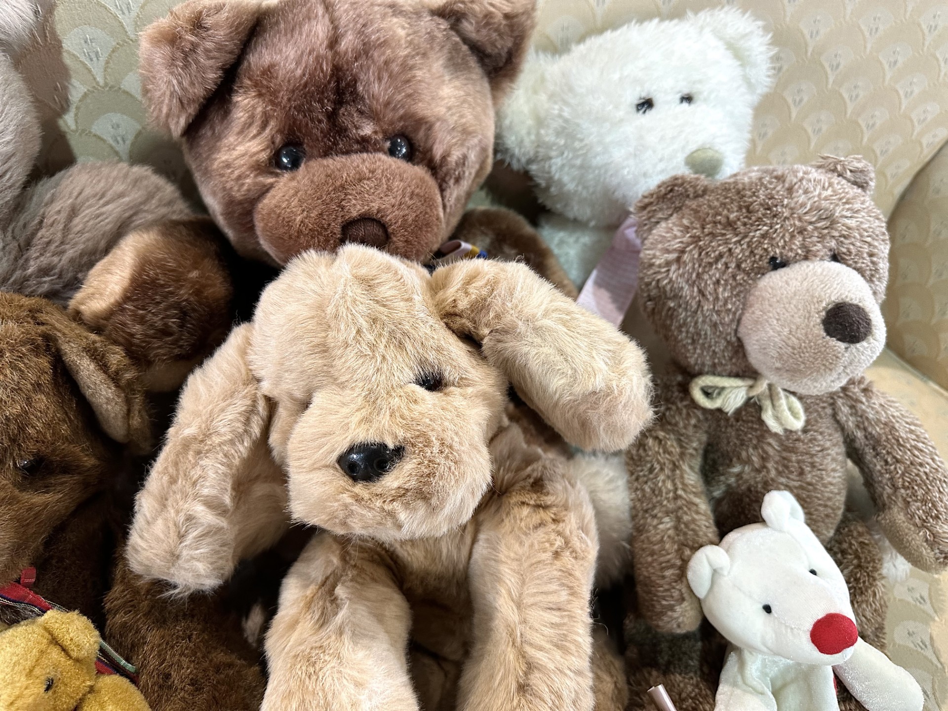 Box of Teddy Bears, including Gund, assorted Russ, all shapes and sizes and colours. Lovely - Image 2 of 4