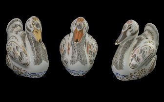 Royal Crown Derby Interest. Collection of ( 3 ) Royal Crown Derby Royal Cygnets Paperweights.
