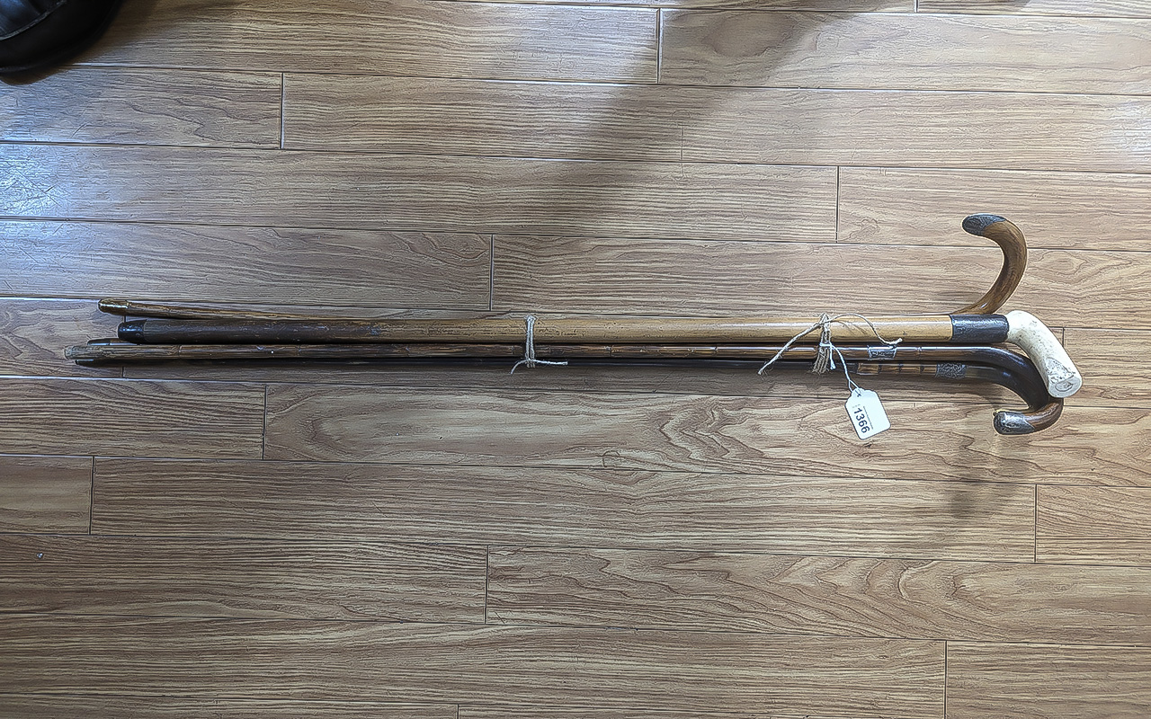 Collection of Five Walking Canes, all with silver terminals. Longest 36''.