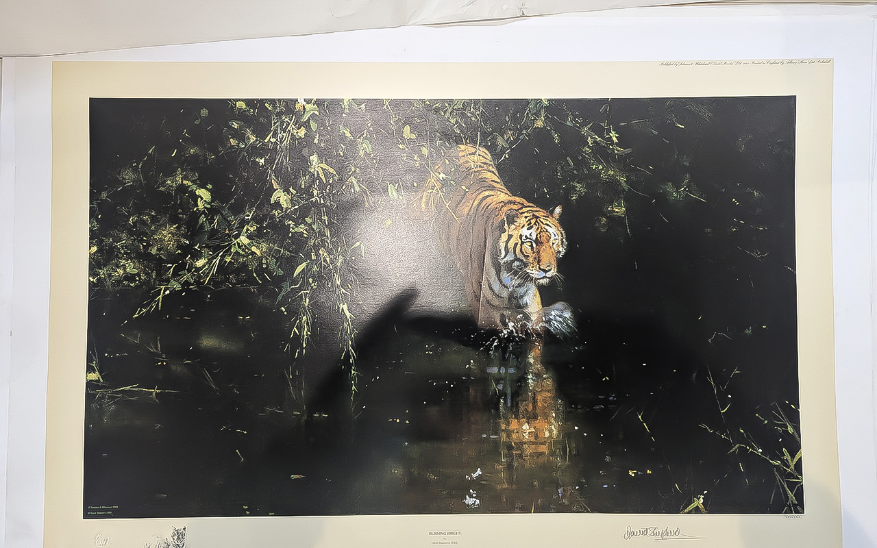 Three David Shepherd Loose Prints, including 'Indian Siesta' No. 443/1300, 'Cool Waters' No. 596/ - Image 2 of 2