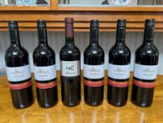 Six Bottles of Mirna Shiraz 2010.
