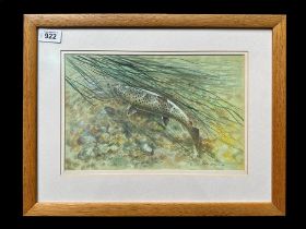 Robin Armstrong (British - Born 1947), original watercolour of Salmon Swimming up Stream. Image
