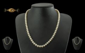 Ladies - Attractive Single Strand Cultured Pearl Necklace with 9ct Gold Clasp, Full hallmark,