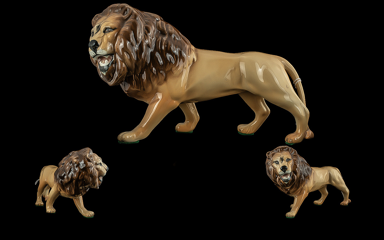 Beswick Hand Painted Wild Animal Figure ' Lion Facing Left', model no 2089, designer Graham