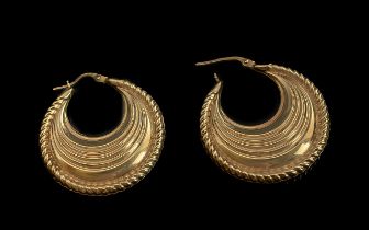 Ladies - Pleasing Pair of Hoop Earrings,