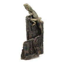 Oswald Merchor, Fiji banded Iguana on a rock,