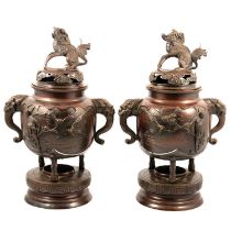 Pair of Chinese bronze Koro,