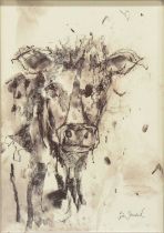 Tim Steward, studies of cattle, a pair, charcoal.
