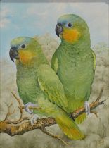 J N Birch, three oil paintings of birds,