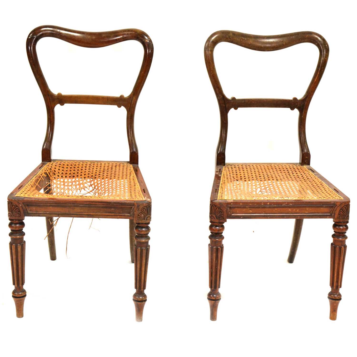 Pair of Regency rosewood dining chairs, stamped 'Gillows Lancaster'