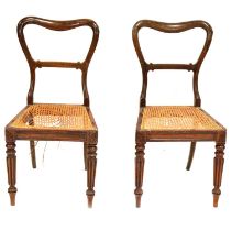 Pair of Regency rosewood dining chairs, stamped 'Gillows Lancaster'