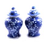Pair of Chinese porcelain Prunus jars and covers
