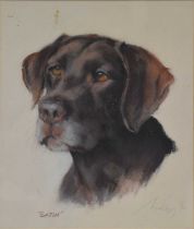 Four original dog protraits