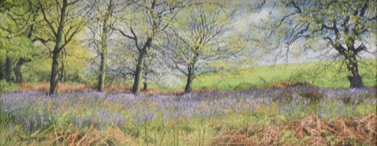 Neil Spilman, Country Lane, and Bluebell Wood.