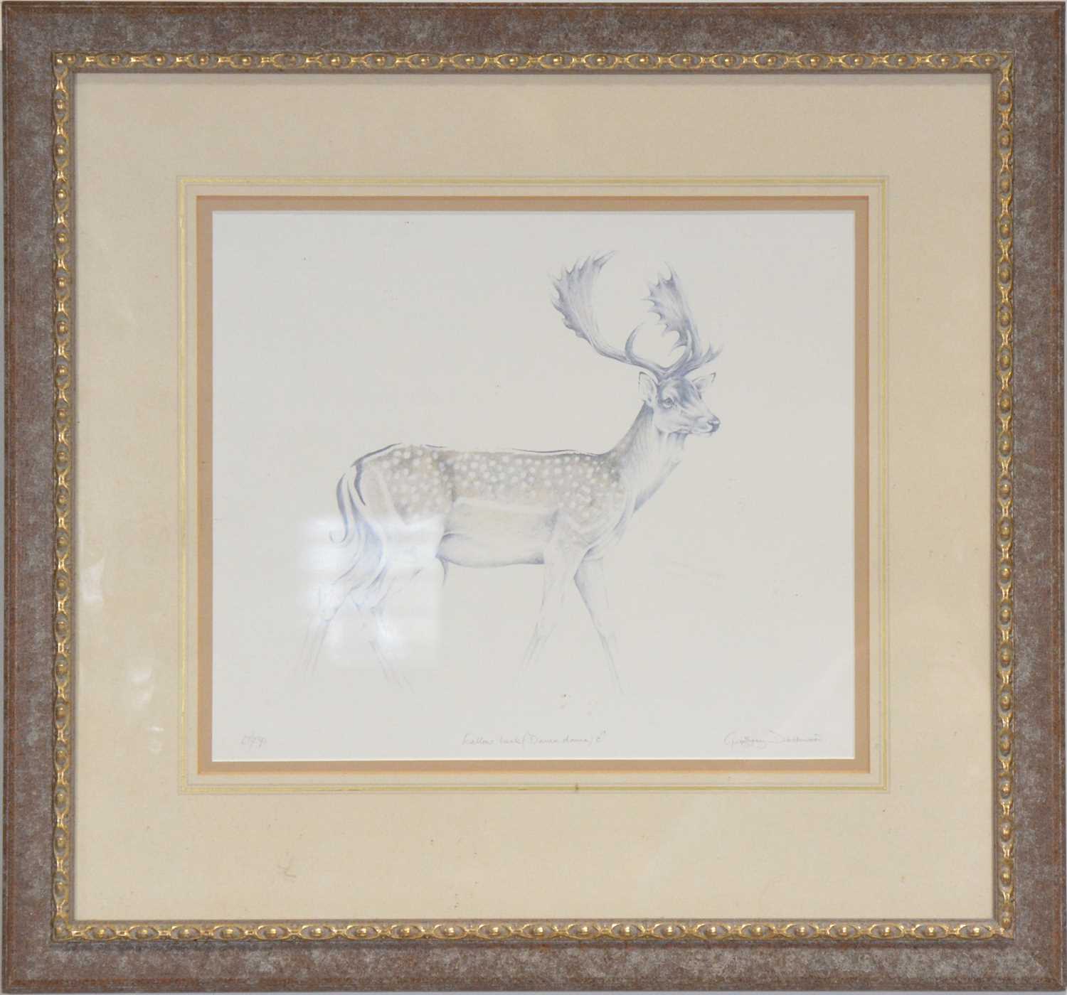 Geoffrey Dashwood Study for Royal Stag, pencil, and a print, - Image 4 of 4