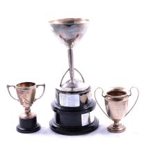Three silver trophies.
