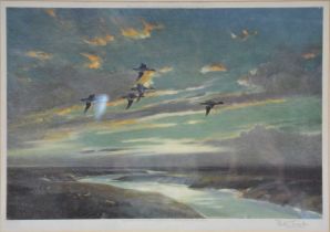 Peter Scott print, Widgeon in flight,