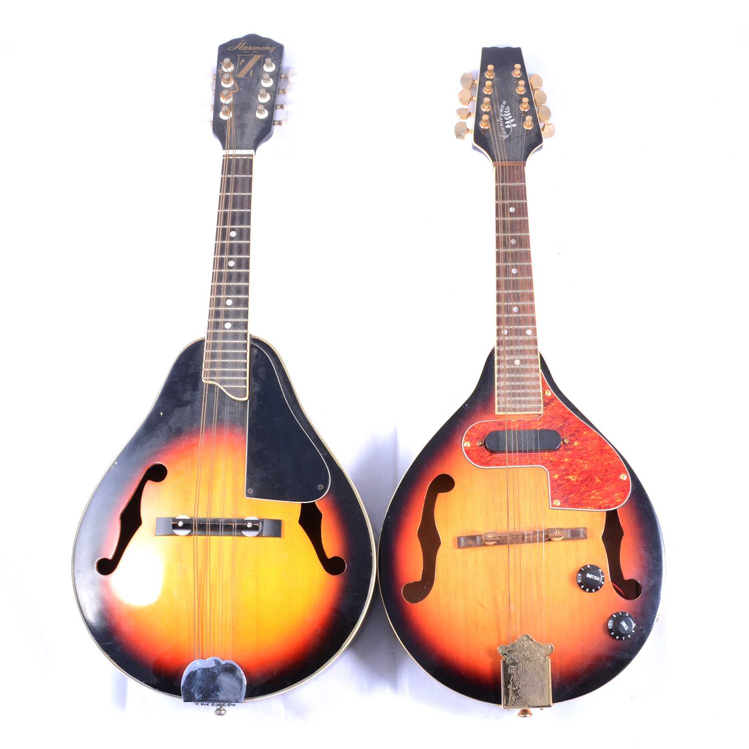 Two eight-string mandolins