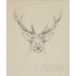 Geoffrey Dashwood Study for Royal Stag, pencil, and a print,