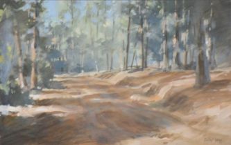 Darryl Legg, Tokai Forest, Cape Town, and another watercolour by John Todds