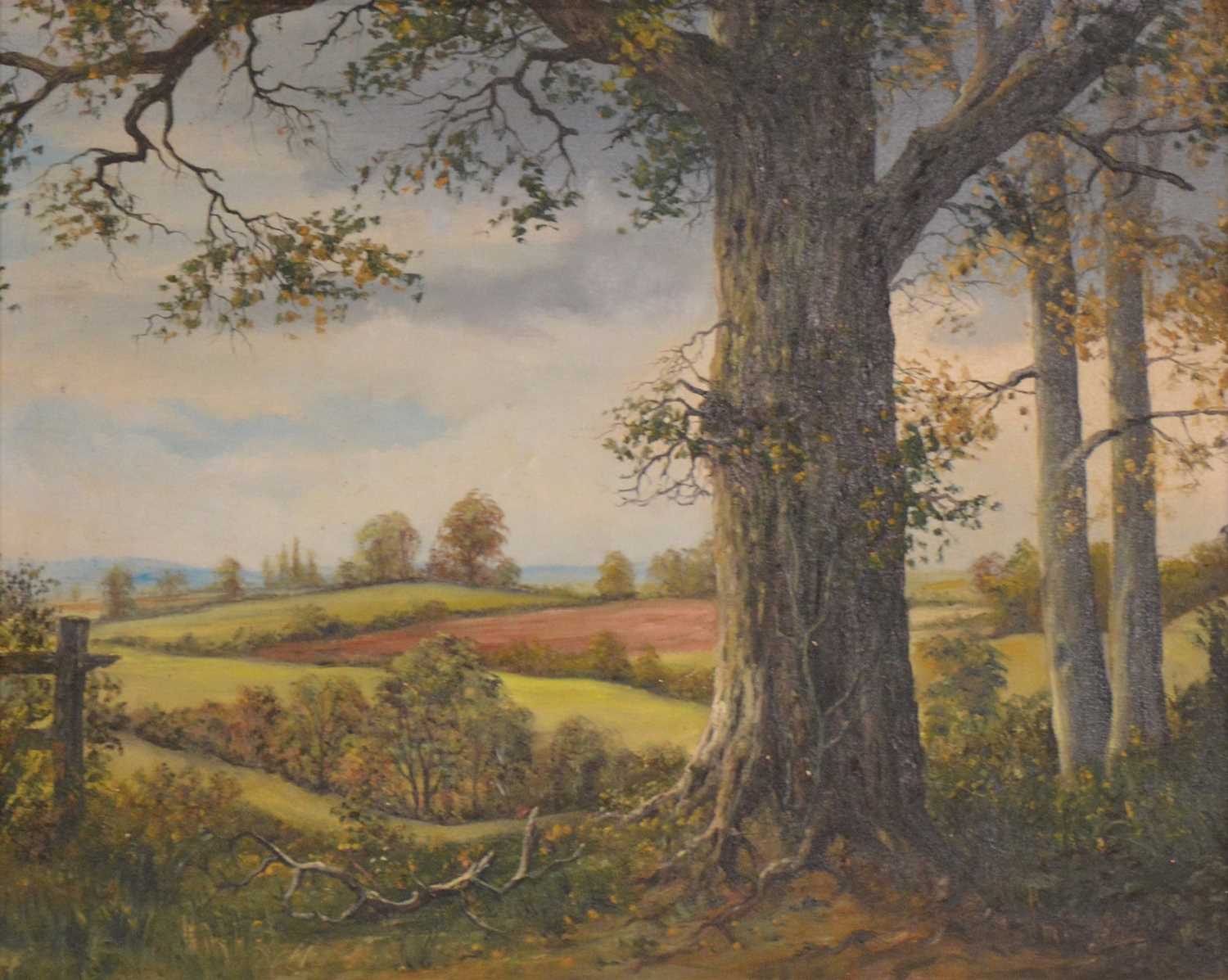 Colin Vokes, four miniature landscapes, - Image 9 of 9
