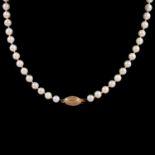 A cultured pearl necklace.