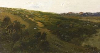 Paul Politachi (Paul Paul, Staithes Group 1865-1937), oil on canvas, Mountain landscape, signed,