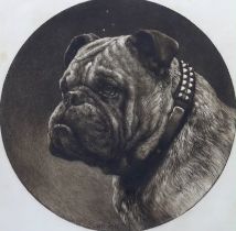 Herbert Dicksee (1862-1942), etching, A British Bull Dog, signed in pencil, publ. 1913, 43 x 42cm