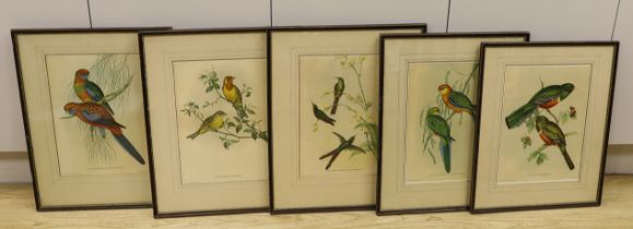 After J Gould (1804-1881) and H. C. Richter (1821-1902), set of five zoological colour