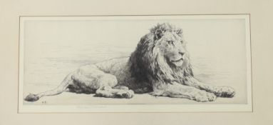 Herbert Dicksee (1862-1942), etching, Study of a Lion, signed in pencil, one of 150 signed proofs,
