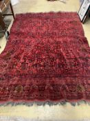 An Afghan red ground carpet, 246 x 164cm