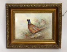 A Royal Worcester plaque hand painted with pheasants, signed A Badham, overall 20 x 24cm